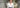 Business Formal Outfits for Women