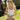 Honeymoon Fashion: Best Outfits for Women