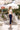 Gabrielle Slim Fit Pants Pants Gaâla